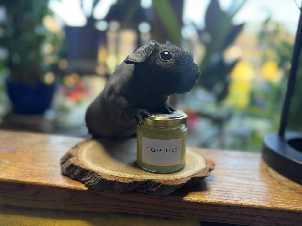 Pubert Lube AKA Unscented Shea Butter Balm
