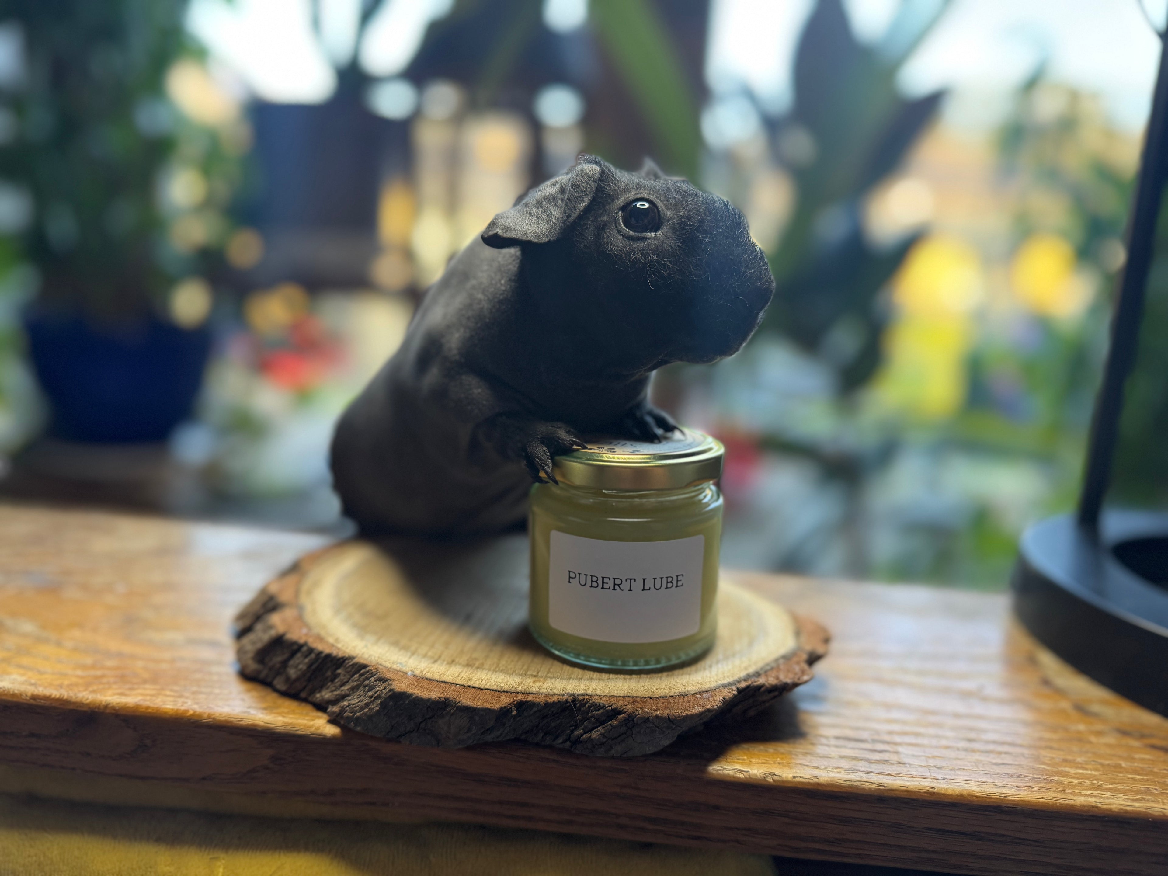 Pubert Lube AKA Unscented Shea Butter Balm