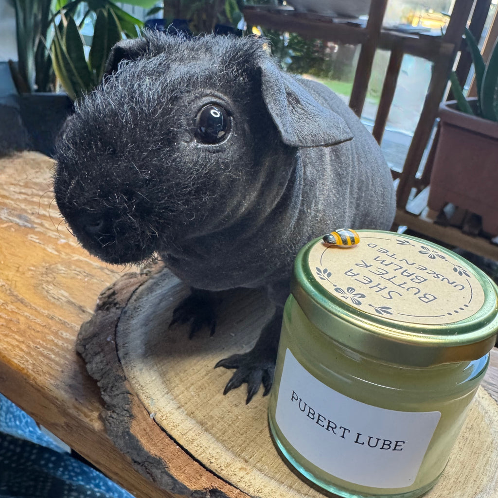 Pubert Lube AKA Unscented Shea Butter Balm