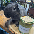 Pubert Lube AKA Unscented Shea Butter Balm